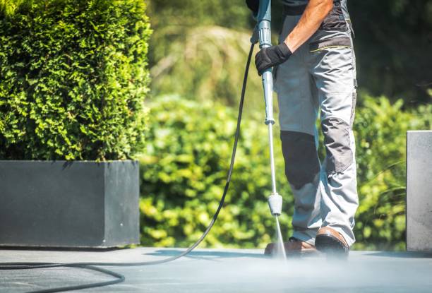 Best Sidewalk and Walkway Pressure Cleaning in Creve Coeur, IL